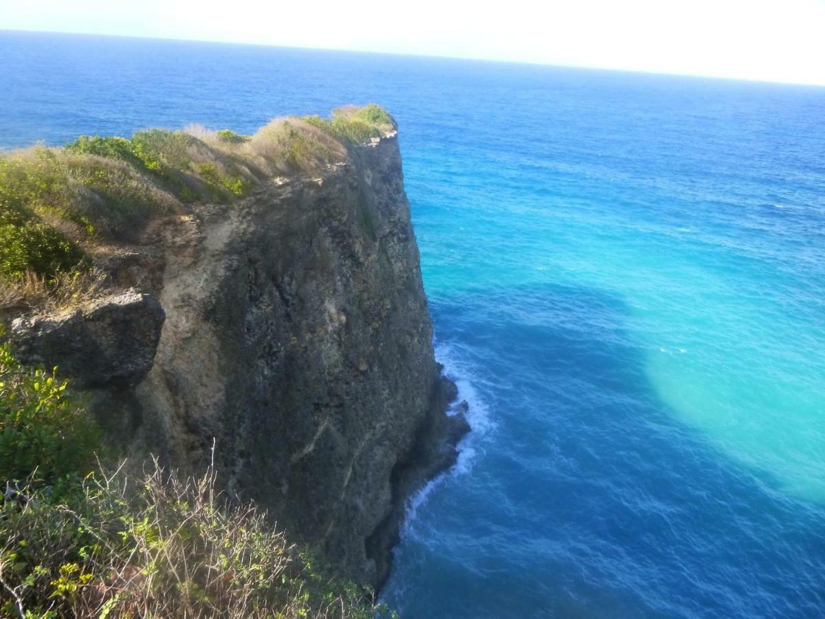 Les Gites Kajou Bouillante Exterior photo